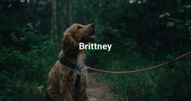 Brittney