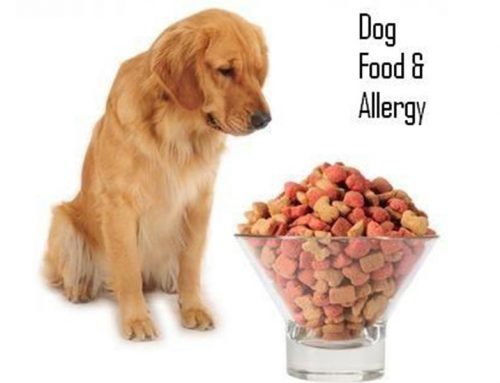 Food allergies