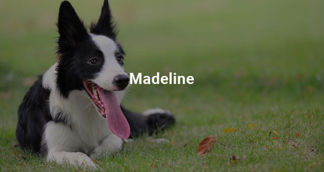 Madeline
