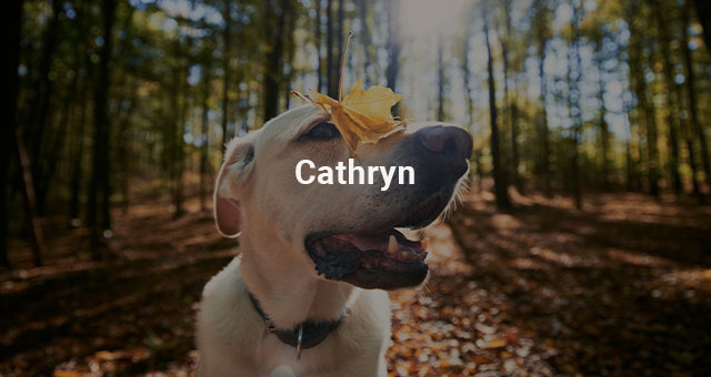 Cathryn